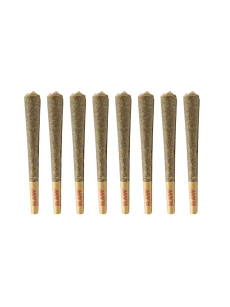 Surrey Select – Premium Regular size Pre-Roll PACK